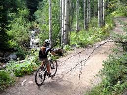 Beaver Lake Trail