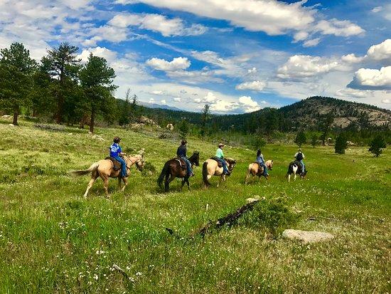 Estes Park Outfitters - Day Tours