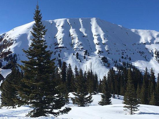 Snowmobile Adventures