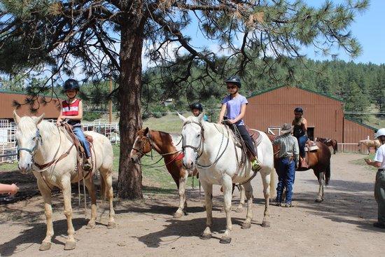 Diamond Hitch Stables