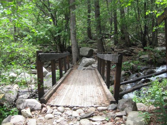 Rainbow Trail