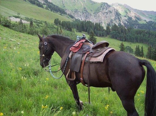 Outwest Guides - Day Tours