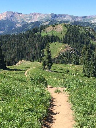 Alpenglow Rentals