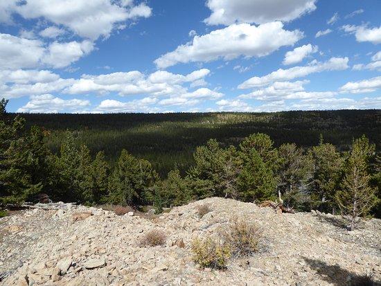 Limber Grove Trail