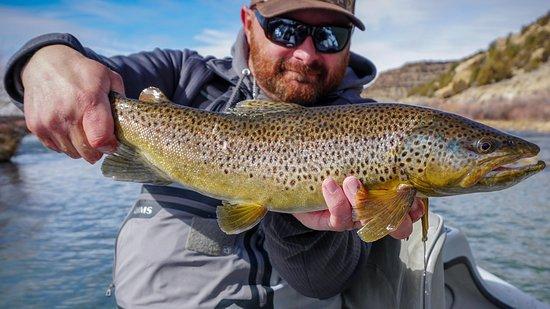 The Kokopelli Angler