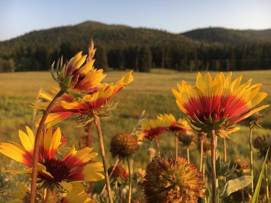 Meyer Ranch Park