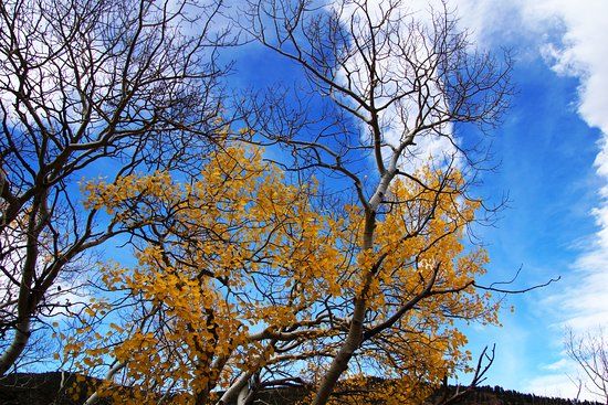 Caribou Ranch Open Space