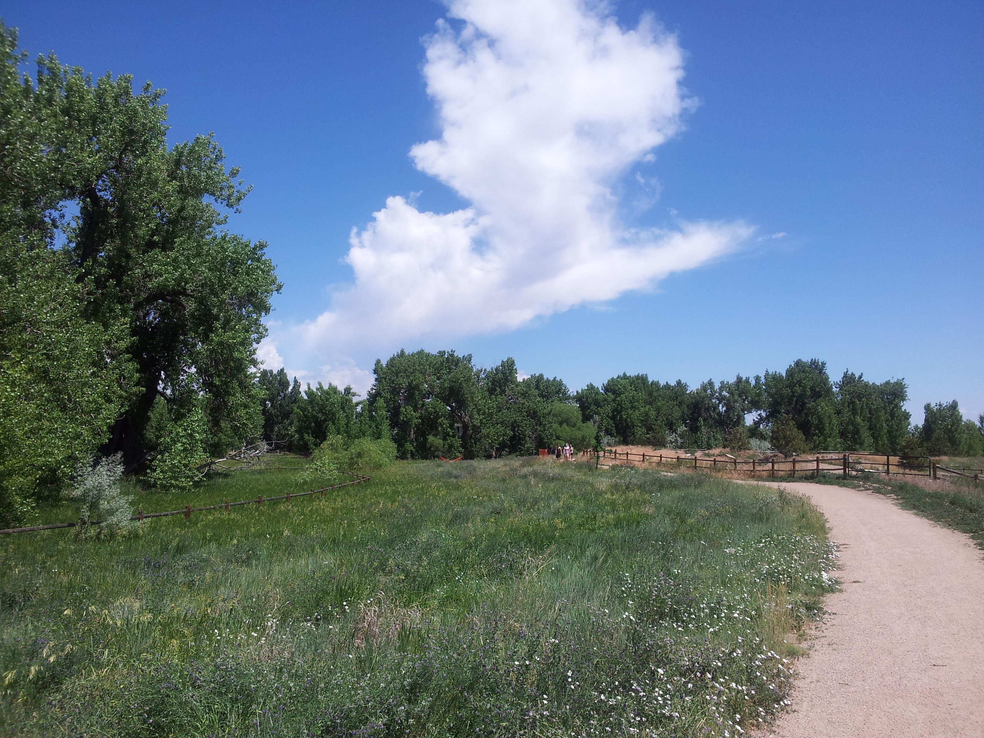 Riverbend Ponds Natural Area