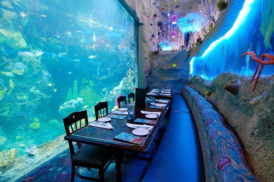 Aquarium Restaurant