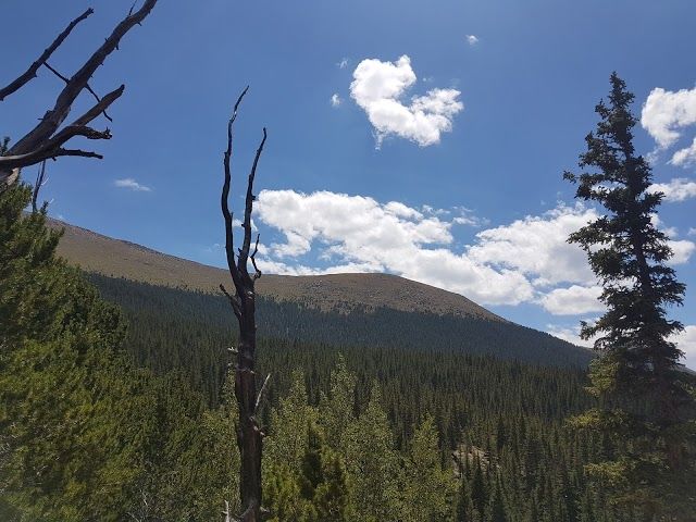 Crags Trail Head