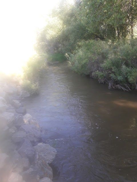 Lobo Park Trailhead