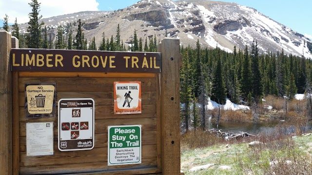 Limber Grove Trailhead