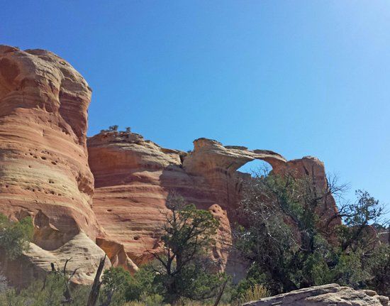 Rattlesnake Canyon