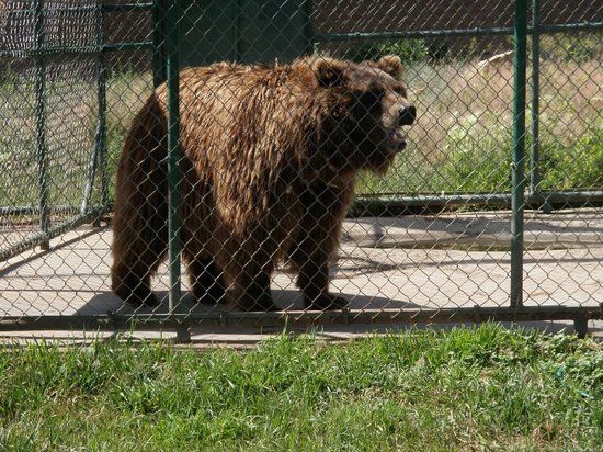 Rocky Mountain Wildlife Park