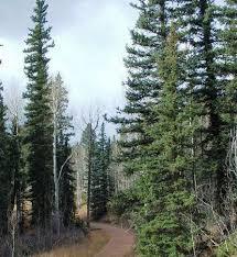 Rainbow Gulch Trail